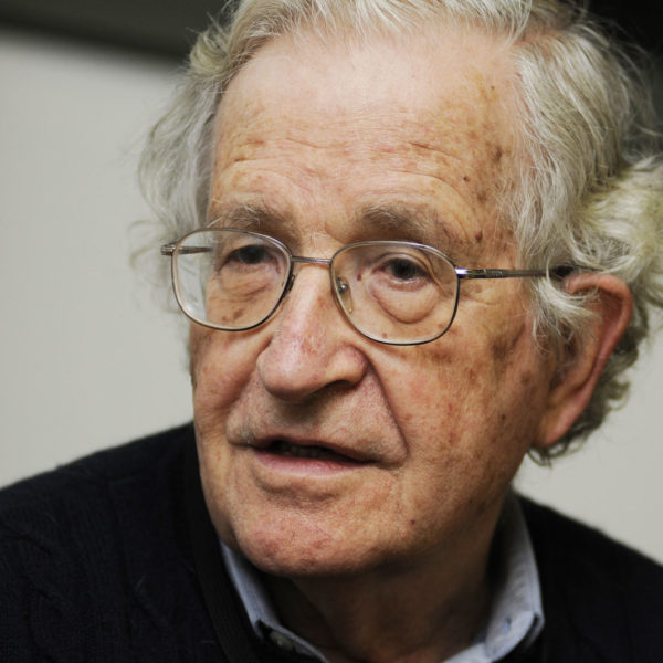 Summary of the simulation with Noam Chomsky of August 22, 2021
