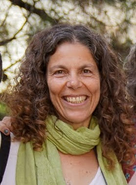 Recording of February 8, 2026, IPC simulation with Noga Kadman